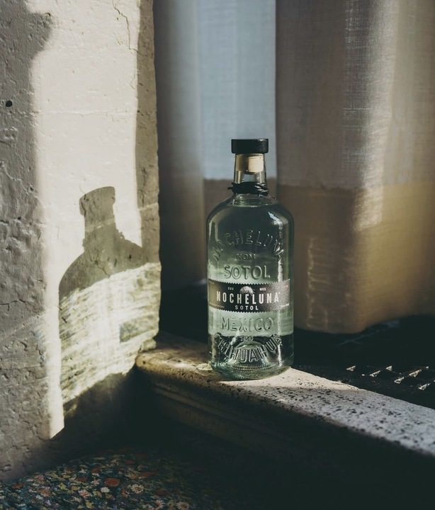 Read more about the article Union’s Mixologist – Featuring Nocheluna Sotol